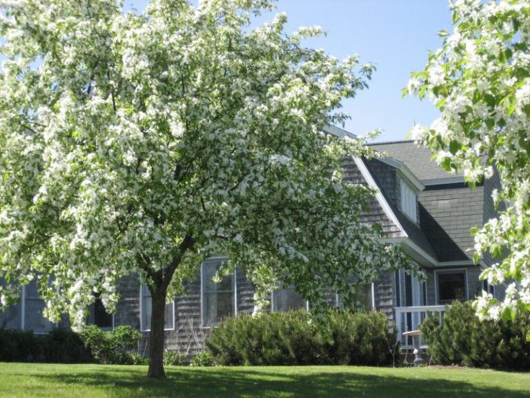 Photo Gallery Penobscot Shores