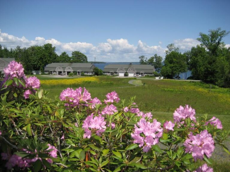 Photo Gallery Penobscot Shores