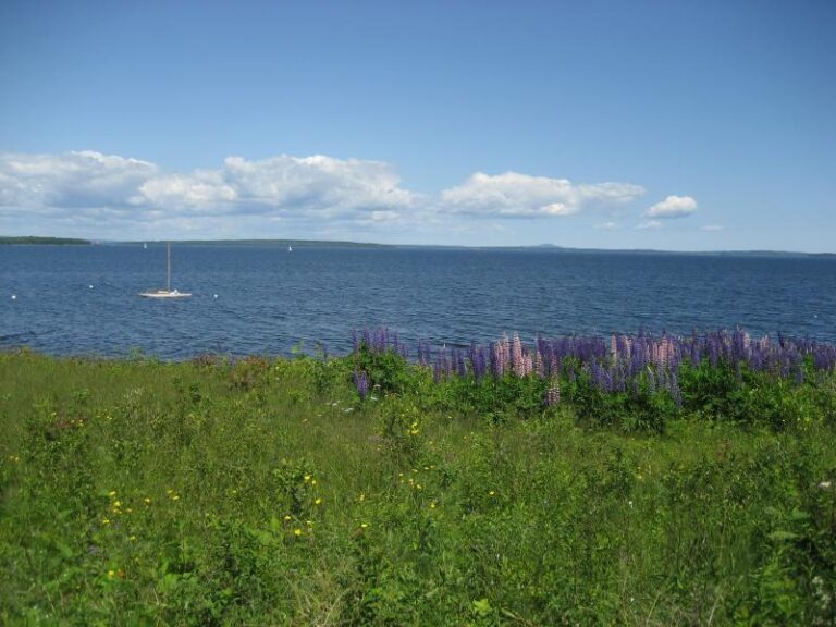 Photo Gallery Penobscot Shores