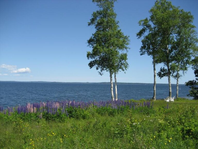 Photo Gallery Penobscot Shores