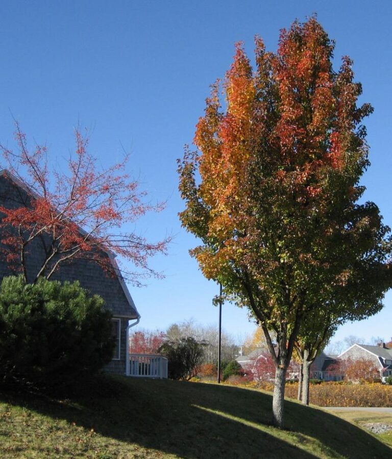 Photo Gallery Penobscot Shores