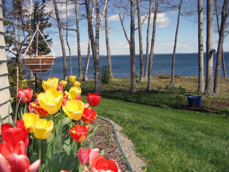 Cottages Penobscot Shores