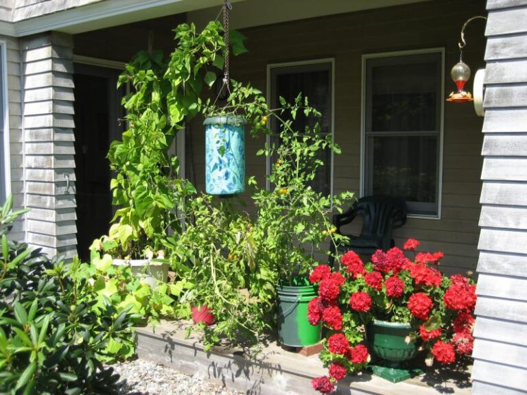 Photo Gallery Penobscot Shores