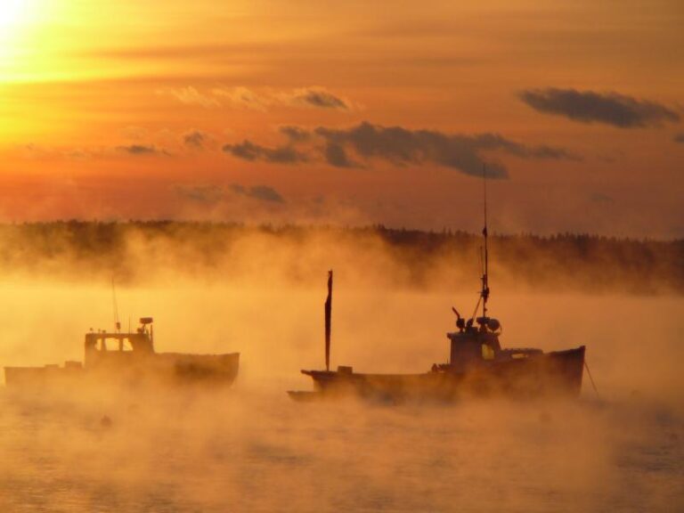 Photo Gallery Penobscot Shores